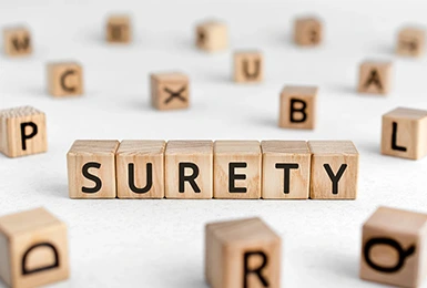 Surety Bonds 385 X 260-2